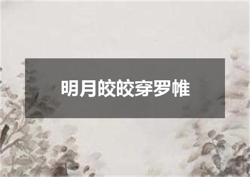 明月皎皎穿罗帷