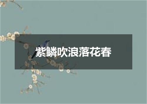 紫鳞吹浪落花春