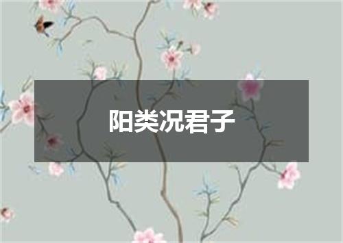 阳类况君子