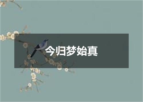 今归梦始真