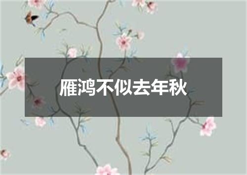 雁鸿不似去年秋