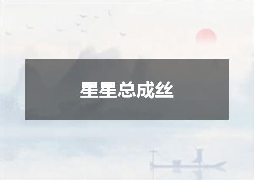 星星总成丝