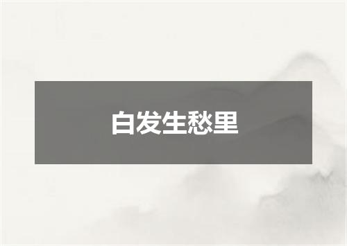 白发生愁里