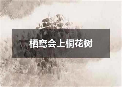 栖鸾会上桐花树