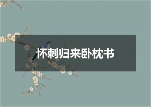 怀刺归来卧枕书