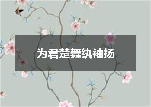 为君楚舞纨袖扬