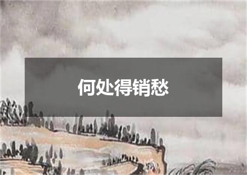 何处得销愁