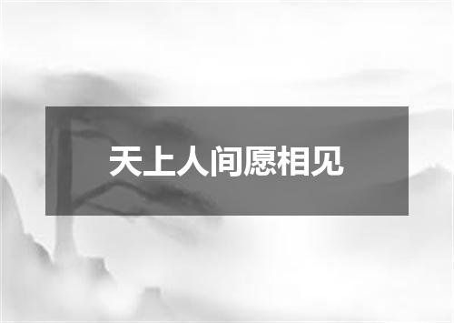 天上人间愿相见