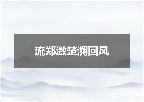 流郑激楚溯回风