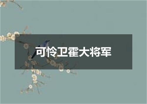 可怜卫霍大将军