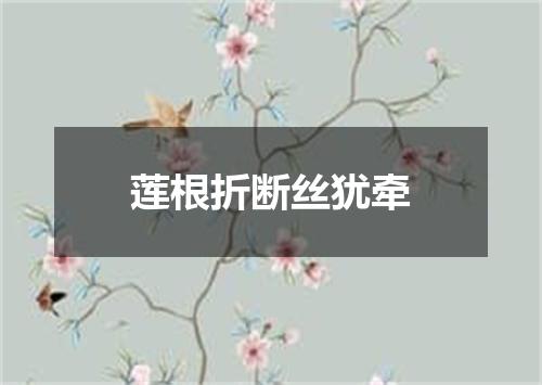 莲根折断丝犹牵
