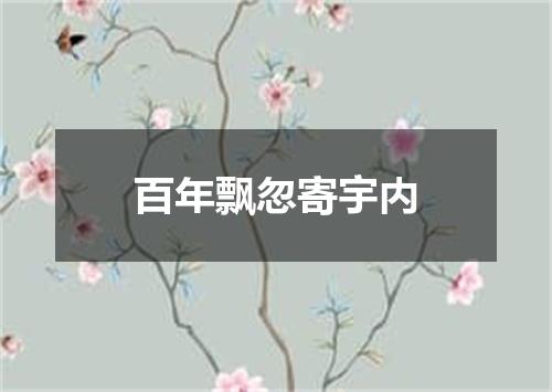 百年飘忽寄宇内
