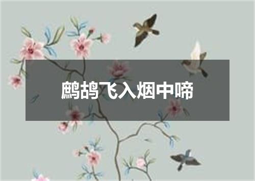 鹧鸪飞入烟中啼