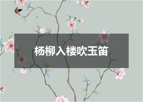 杨柳入楼吹玉笛