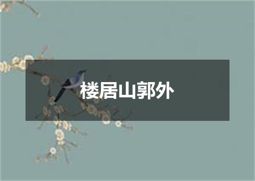 楼居山郭外