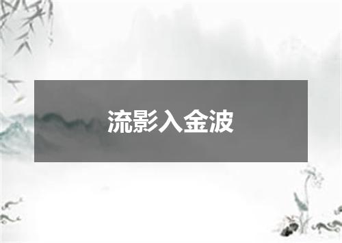 流影入金波