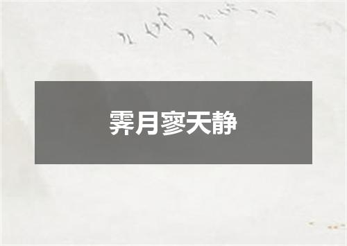 霁月寥天静