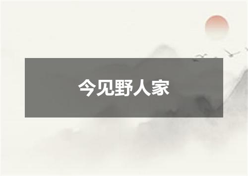 今见野人家