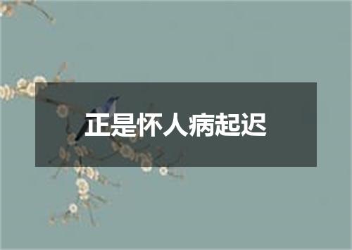 正是怀人病起迟