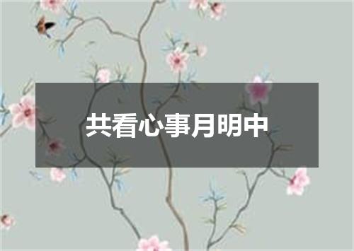 共看心事月明中