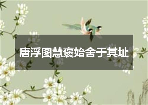 唐浮图慧褒始舍于其址