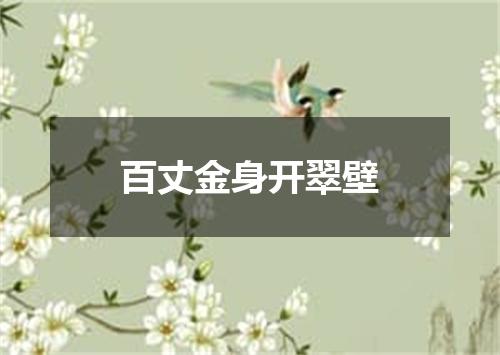 百丈金身开翠壁