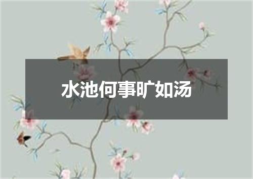 水池何事旷如汤