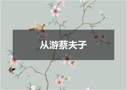 从游蔡夫子