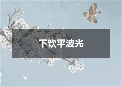 下饮平波光