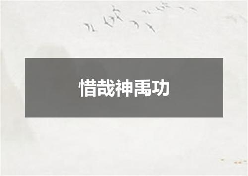 惜哉神禹功