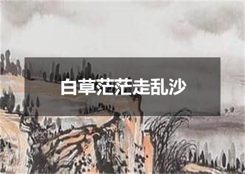 白草茫茫走乱沙