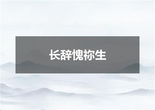 长辞愧祢生
