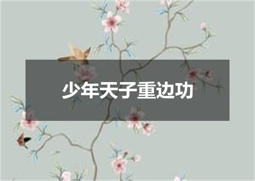 少年天子重边功