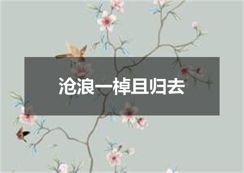 沧浪一棹且归去