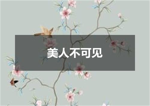 美人不可见