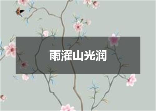 雨濯山光润