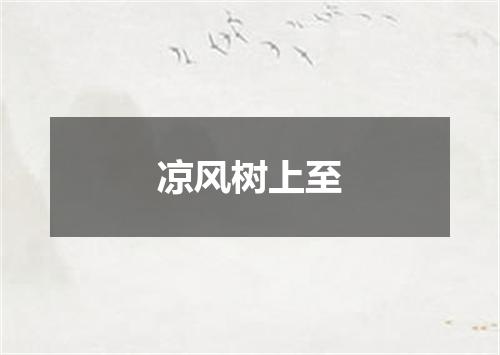 凉风树上至