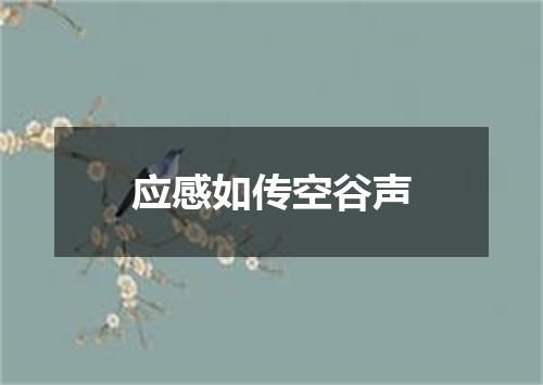 应感如传空谷声