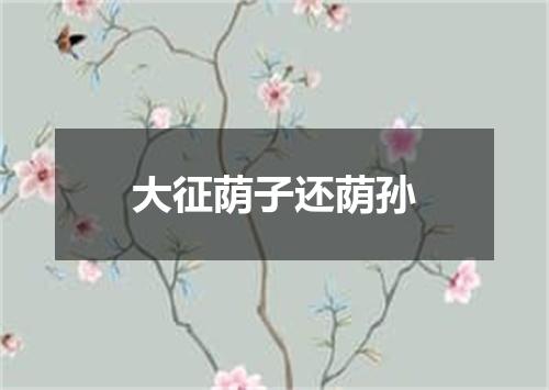 大征荫子还荫孙