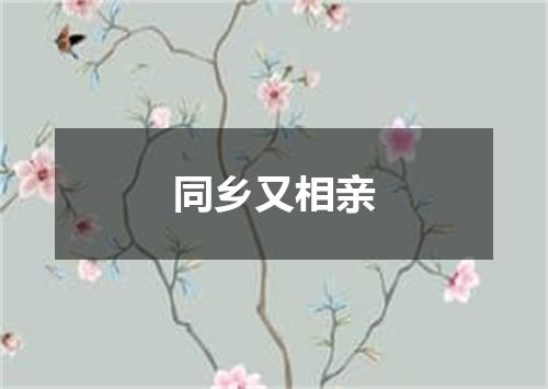 同乡又相亲