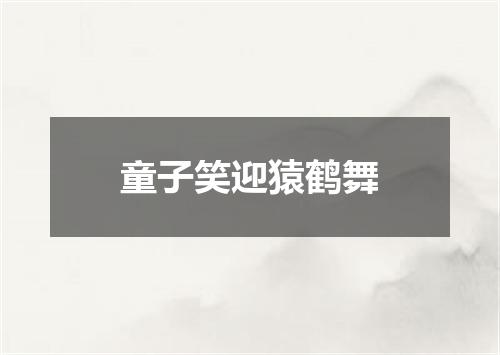 童子笑迎猿鹤舞