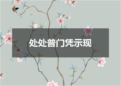 处处普门凭示现