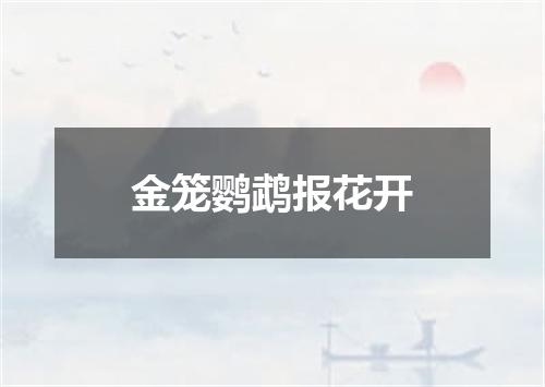 金笼鹦鹉报花开