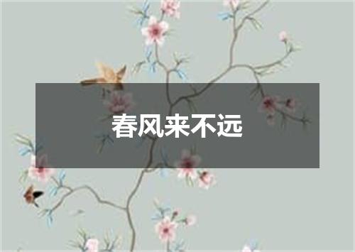 春风来不远