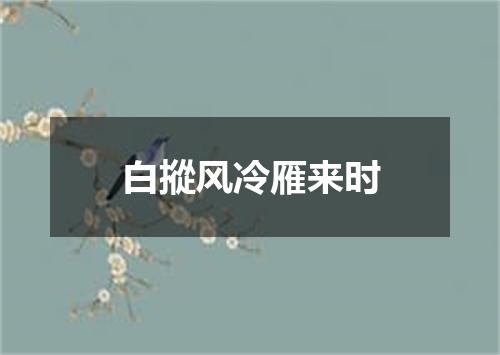 白摐风冷雁来时