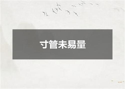 寸管未易量