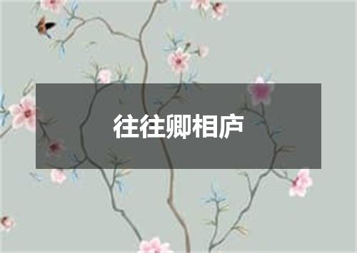 往往卿相庐