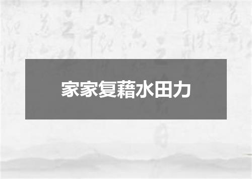 家家复藉水田力
