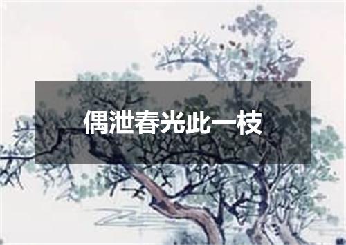 偶泄春光此一枝