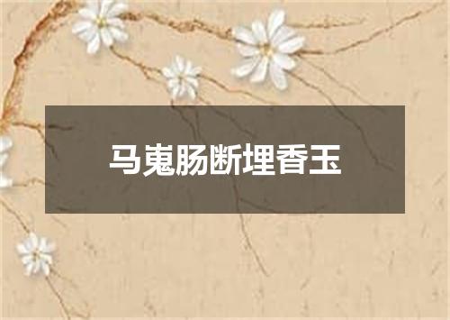 马嵬肠断埋香玉